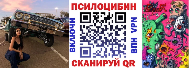 закладка  Ликино-Дулёво  Галлюциногенные грибы ЛСД 